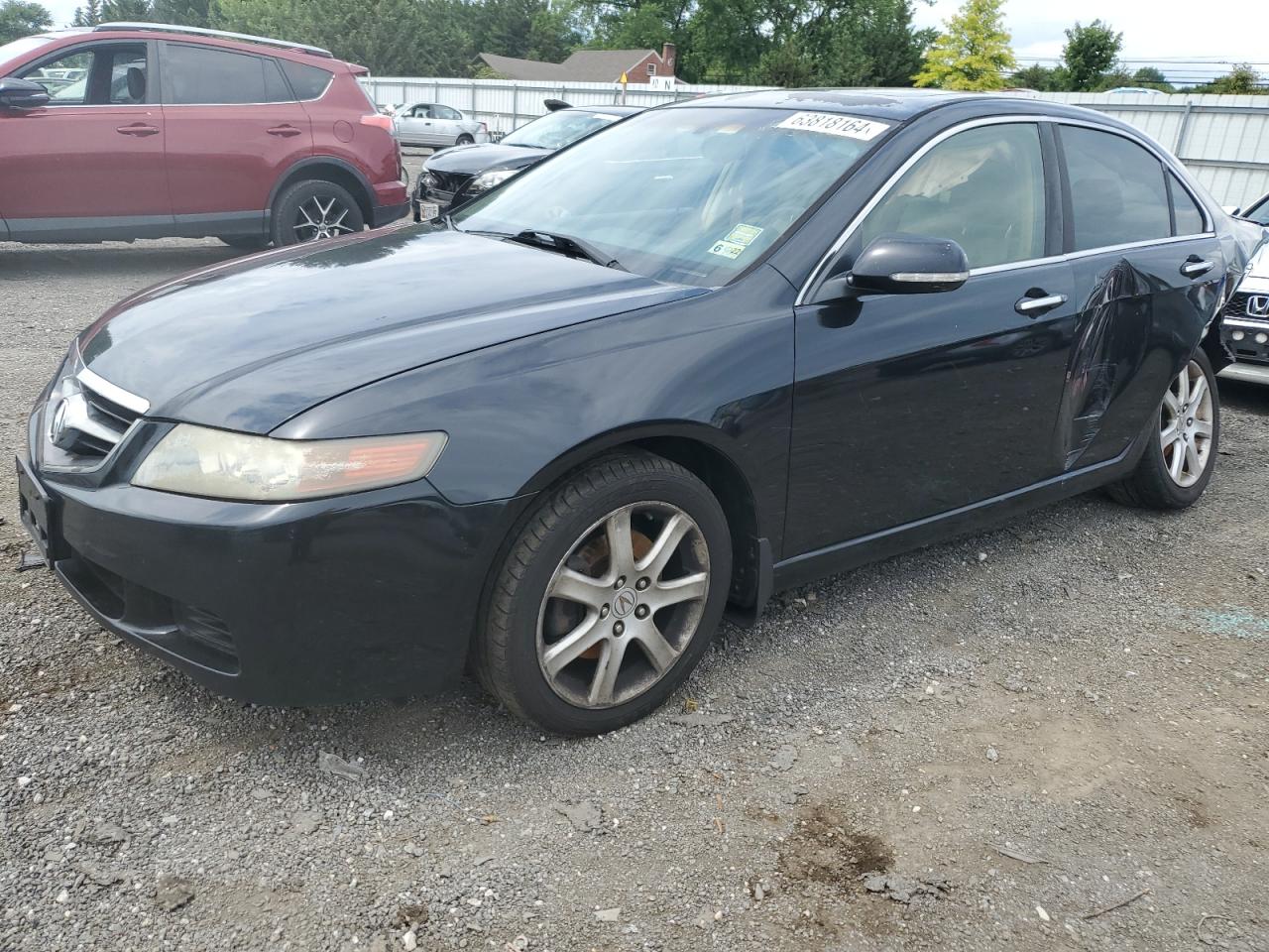 2004 Acura Tsx VIN: JH4CL96904C035445 Lot: 63818164