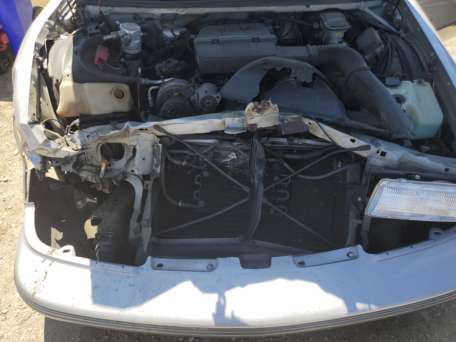 1G1BN53E2MW248597 1991 Chevrolet Caprice Classic Ltz