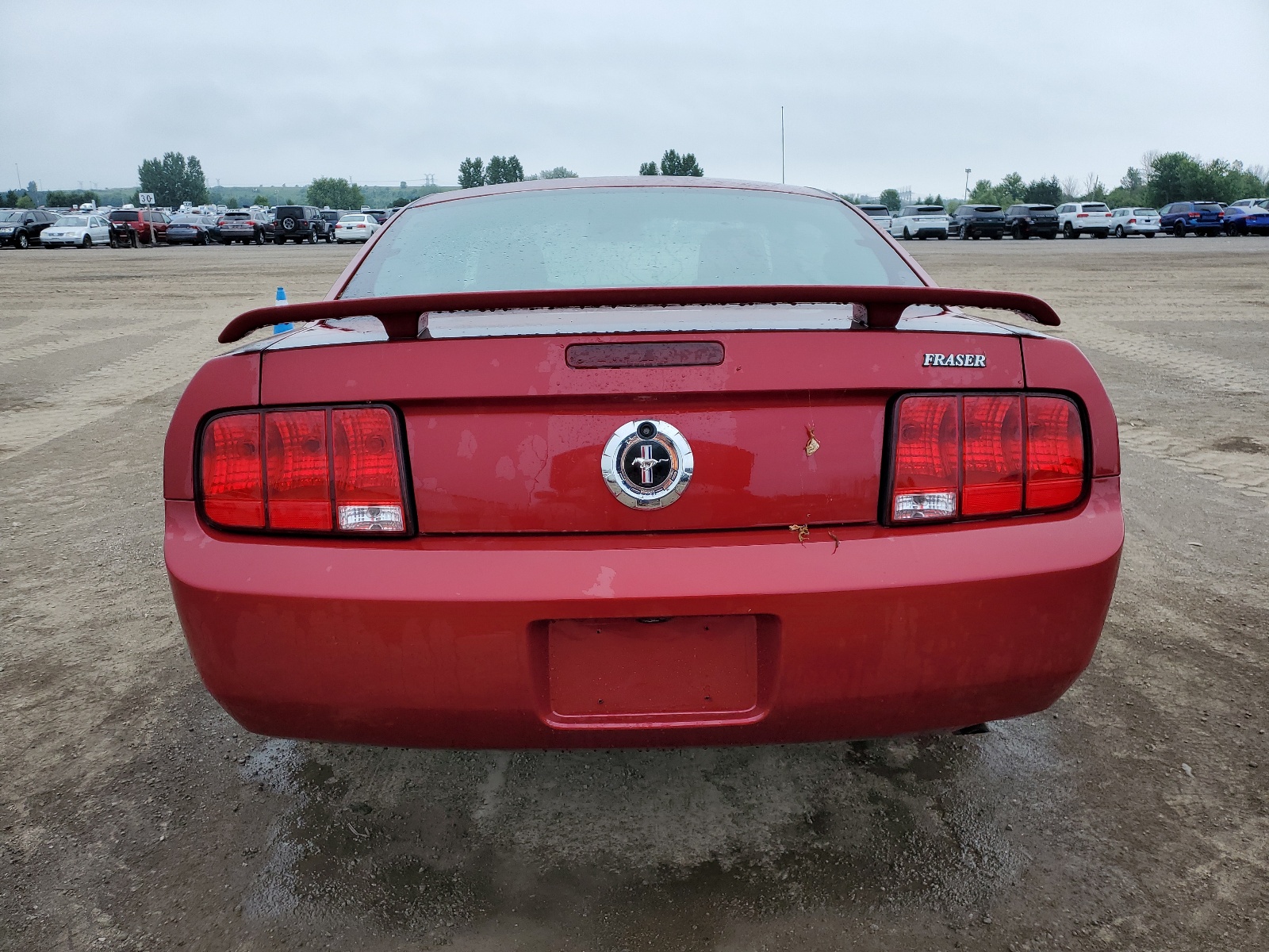 1ZVFT80N465137141 2006 Ford Mustang