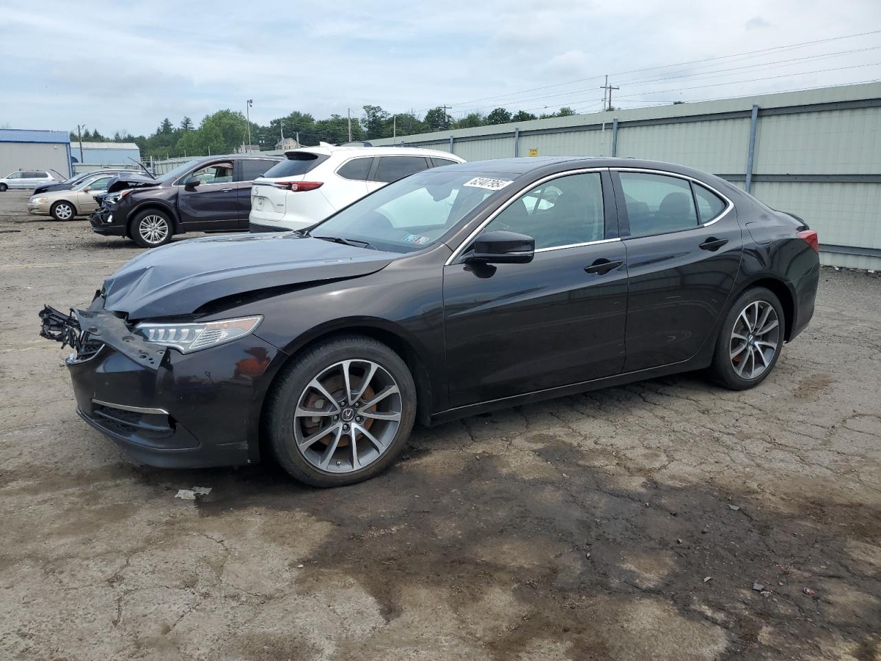 2015 Acura Tlx Tech VIN: 19UUB2F59FA005647 Lot: 62407954