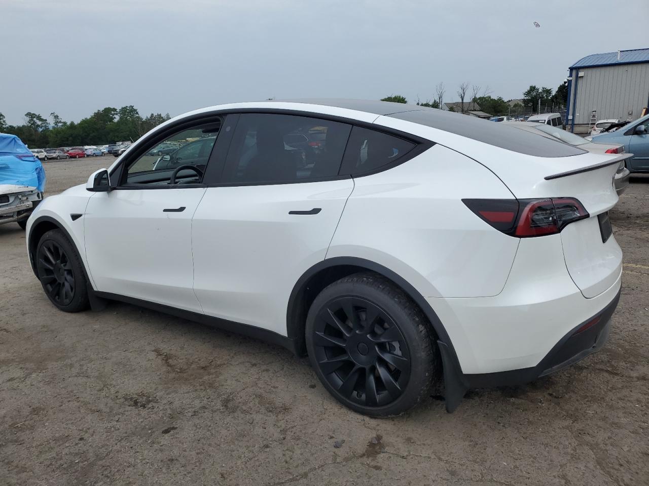 VIN 7SAYGAEE3PF669631 2023 TESLA MODEL Y no.2