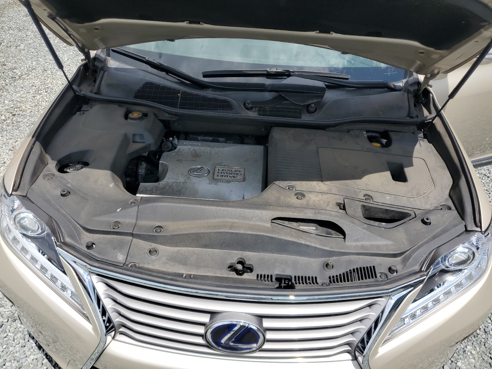 JTJBC1BA2D2066794 2013 Lexus Rx 450