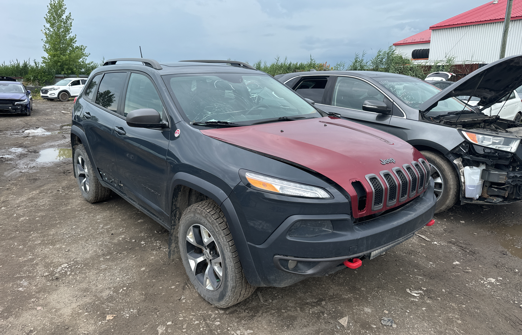 2016 Jeep Cherokee Trailhawk vin: 1C4PJMBS1GW202337