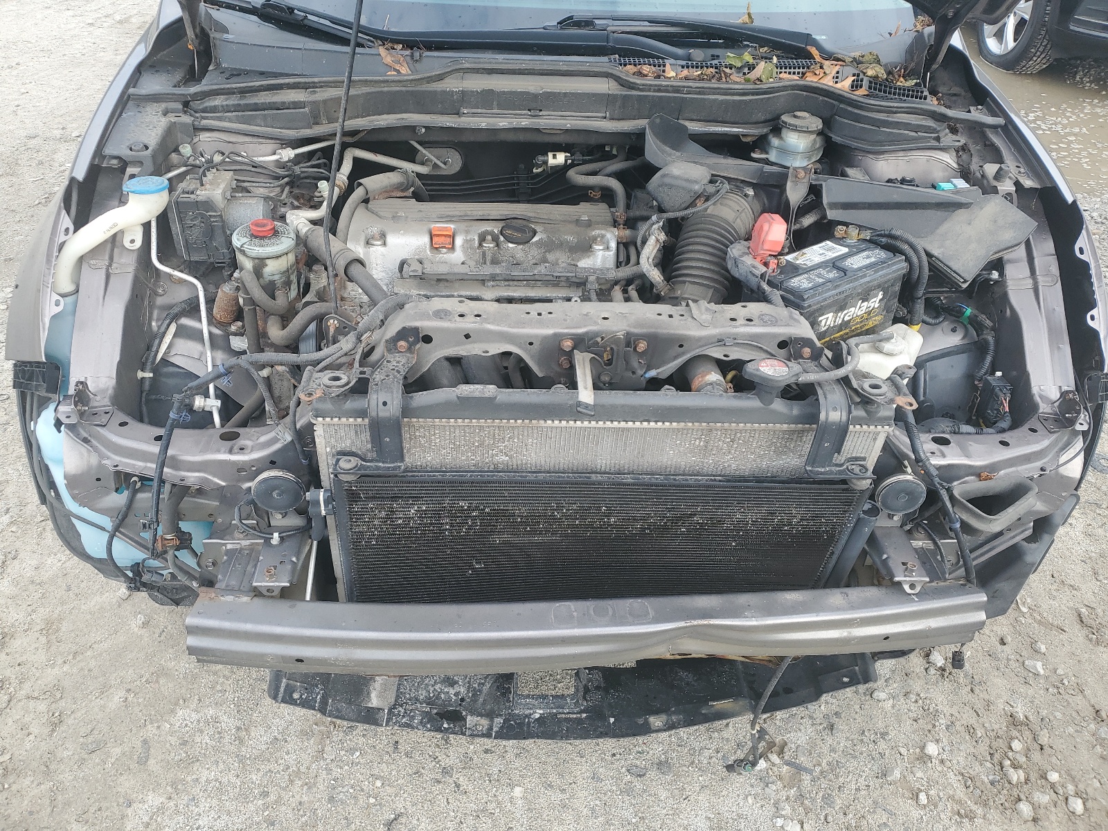 5J6RE4H7XBL100569 2011 Honda Cr-V Exl