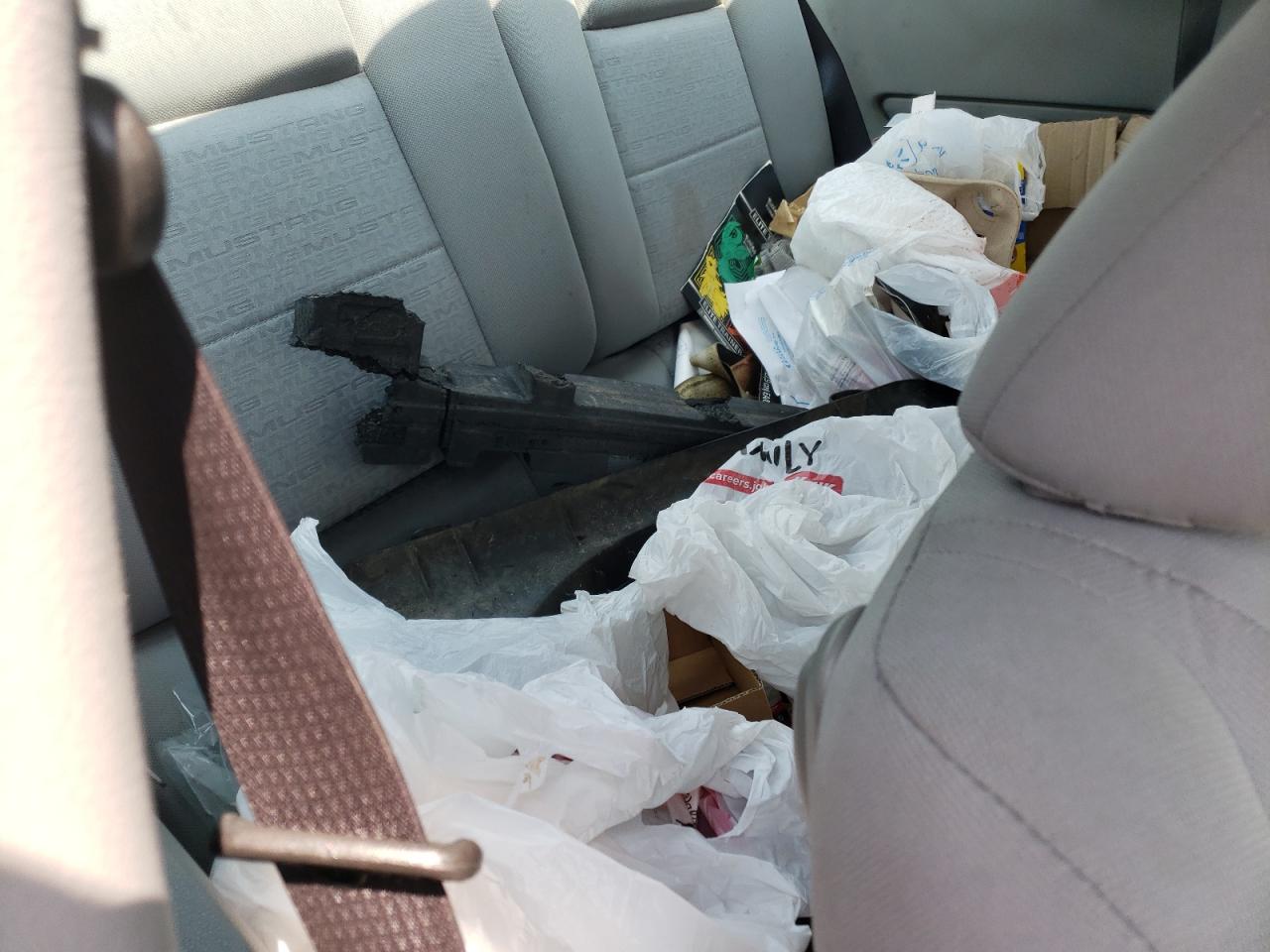 2006 Ford Mustang VIN: 1ZVFT80N365259540 Lot: 64270894