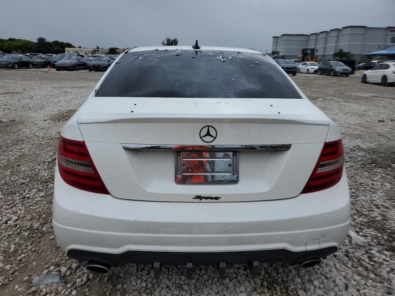 2013 Mercedes-Benz C 300 4Matic VIN: WDDGF8AB2DR276229 Lot: 62153234