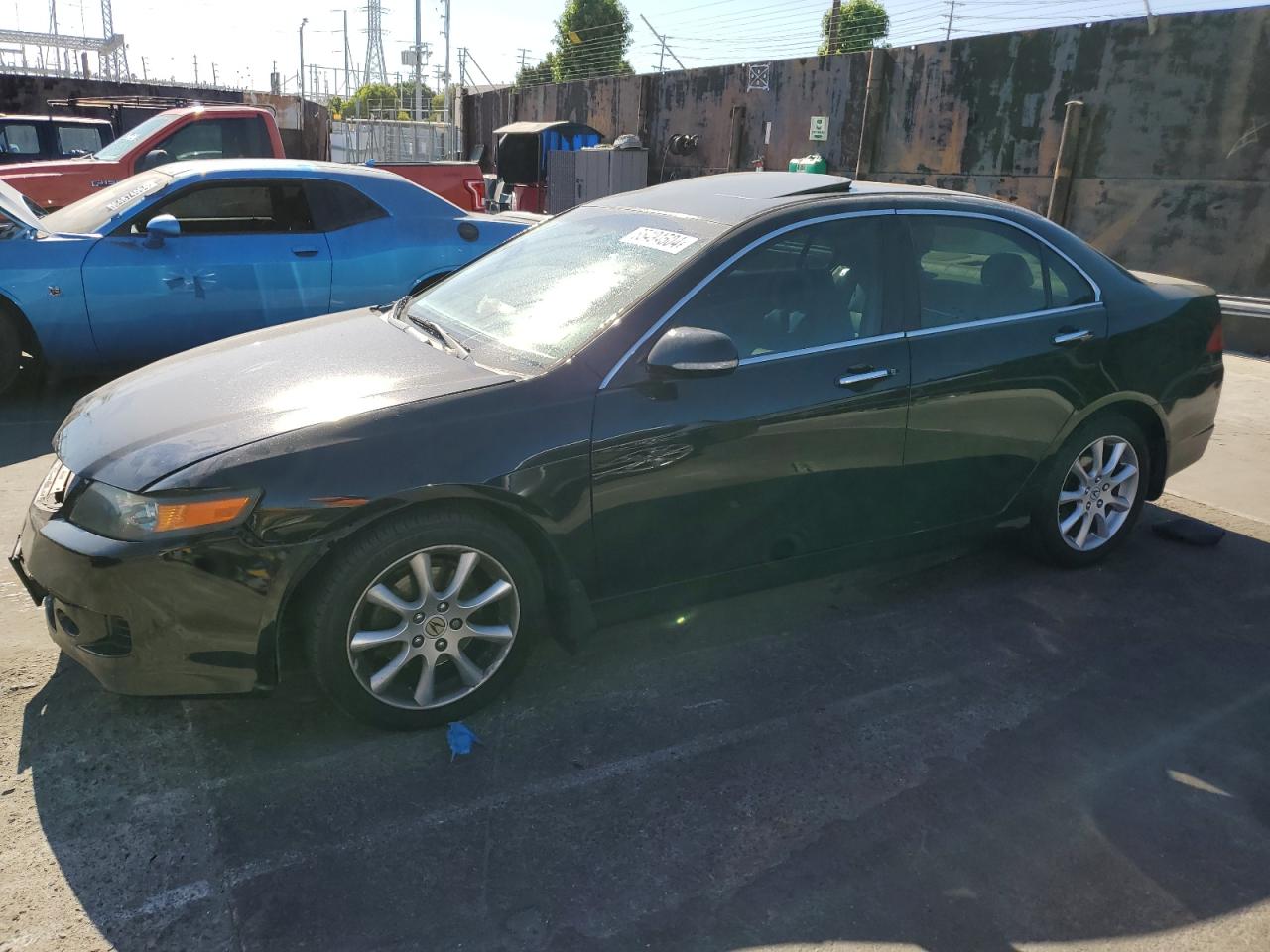 2007 Acura Tsx VIN: JH4CL96987C020163 Lot: 65494504