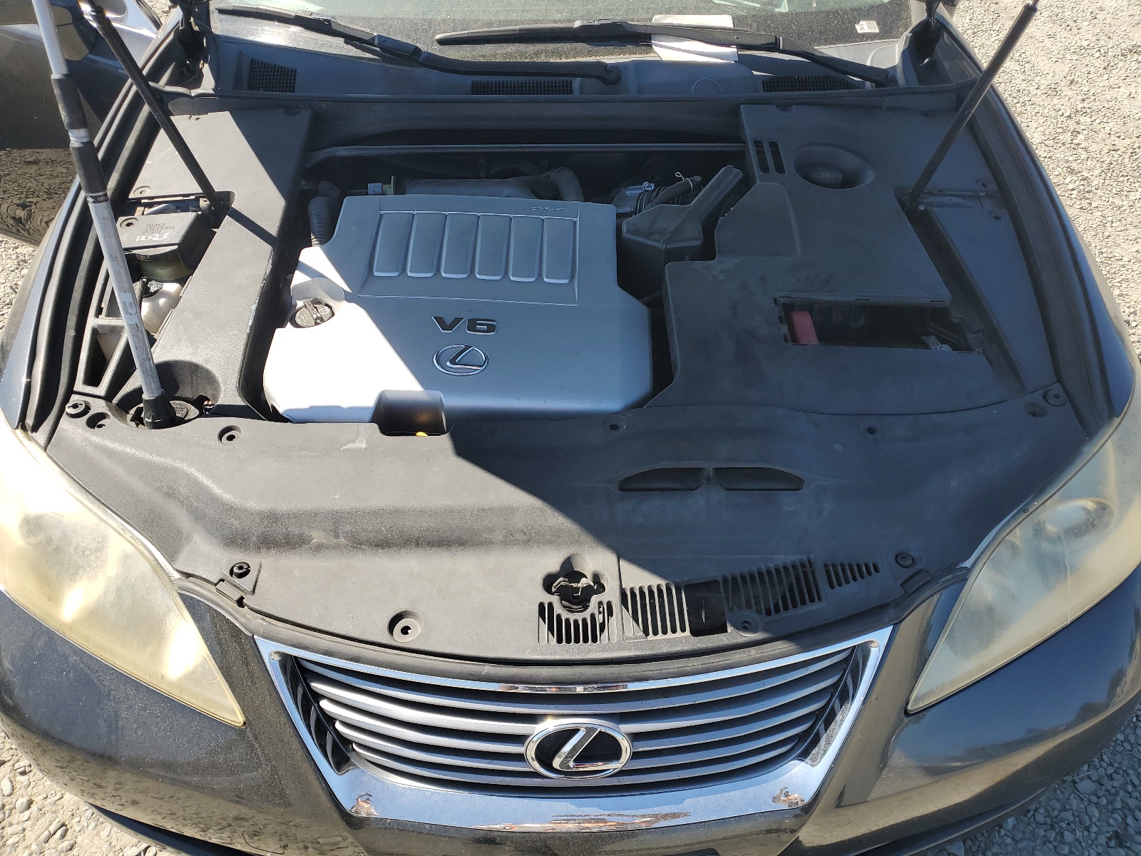 JTHBJ46G372070624 2007 Lexus Es 350