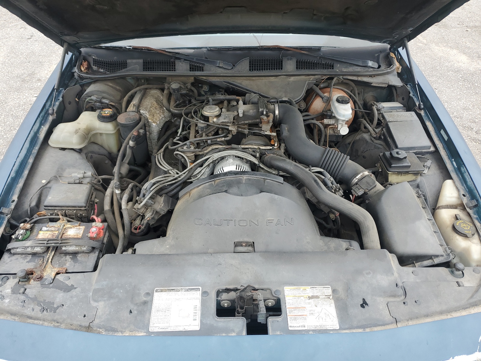 2FALP73W6VX147813 1997 Ford Crown Victoria