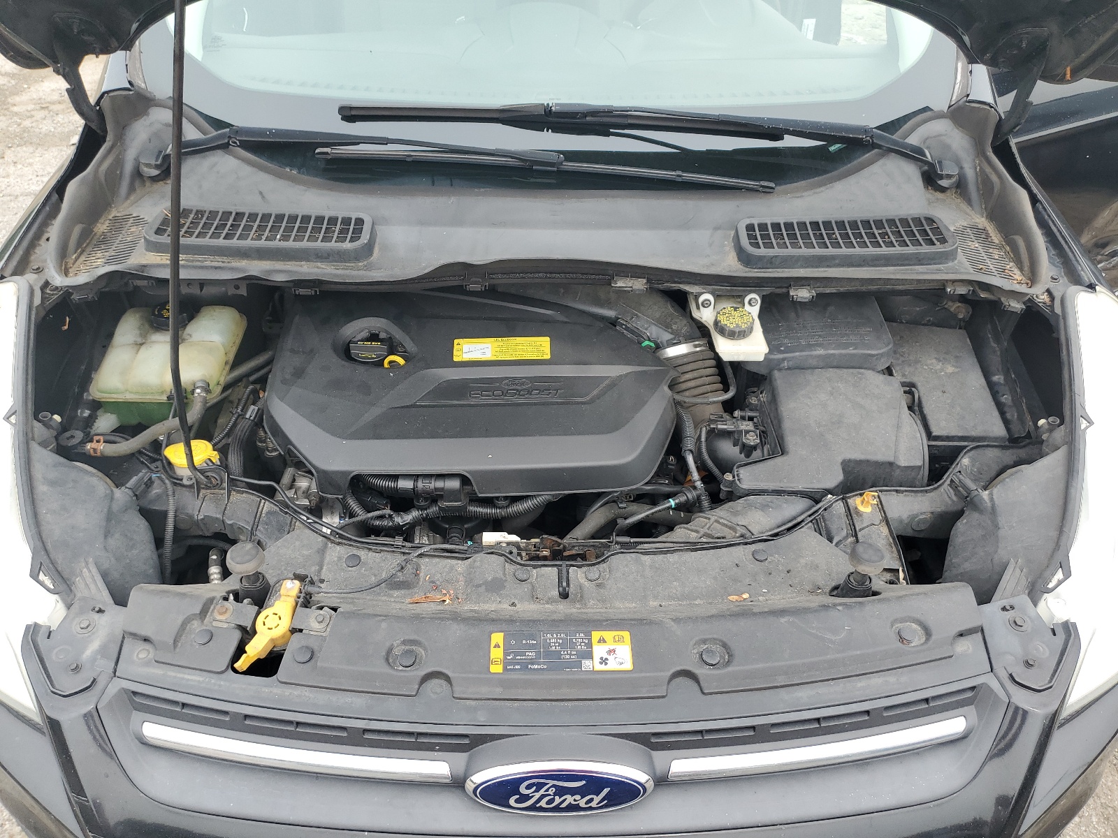 1FMCU0GX8DUC90535 2013 Ford Escape Se