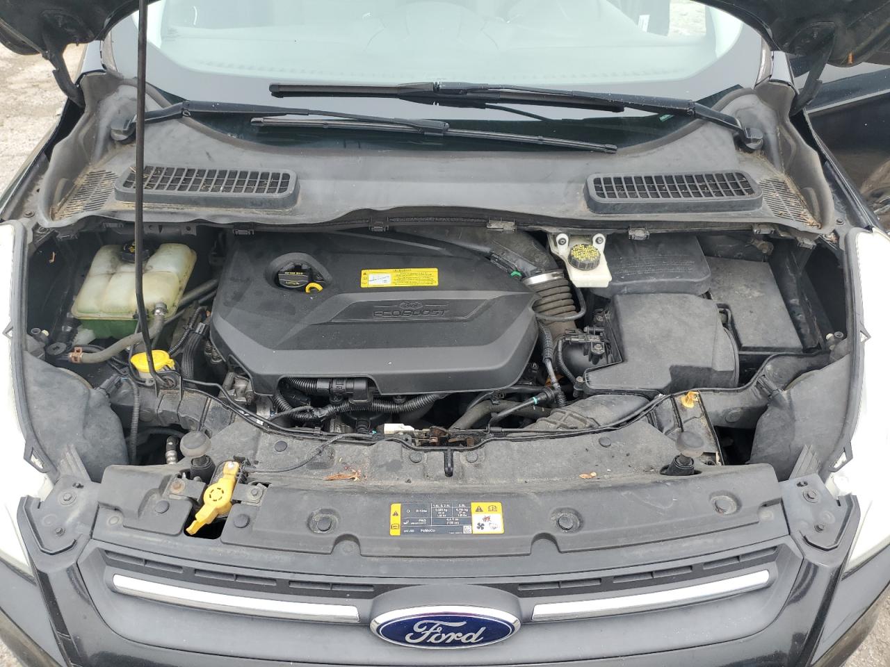 2013 Ford Escape Se VIN: 1FMCU0GX8DUC90535 Lot: 64063774