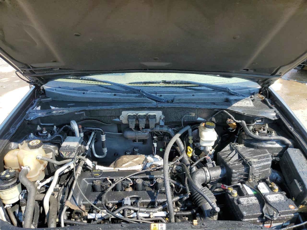 2006 Ford Escape Xlt VIN: 1FMYU03Z46KA23095 Lot: 62134654