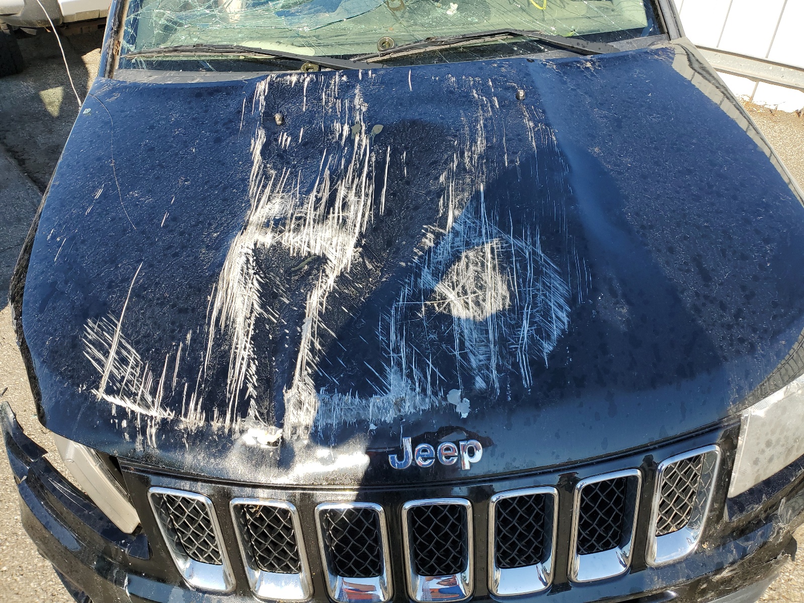 1C4NJDBB5GD572029 2016 Jeep Compass Sport