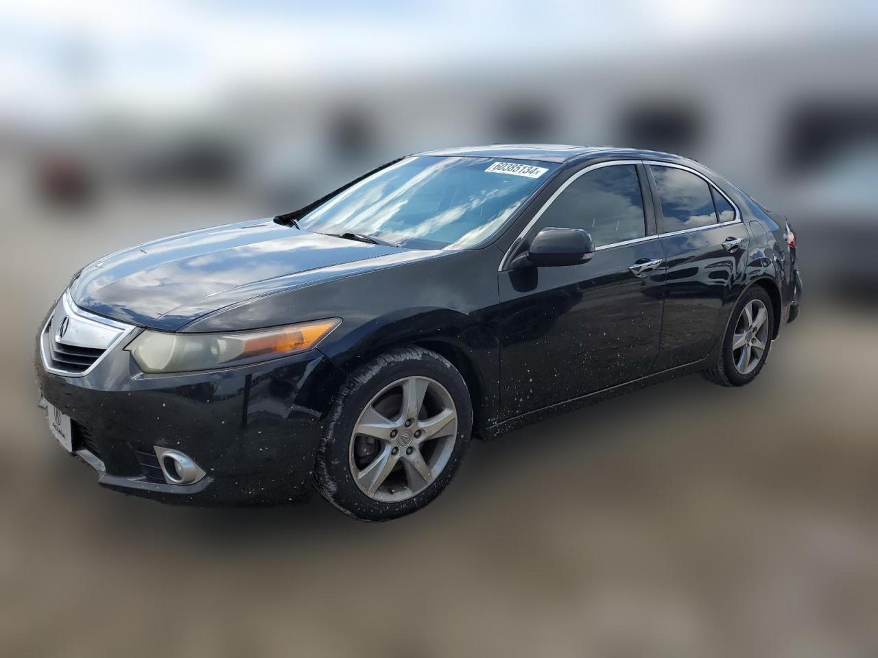 2011 Acura Tsx VIN: JH4CU2F64BC000351 Lot: 60385134