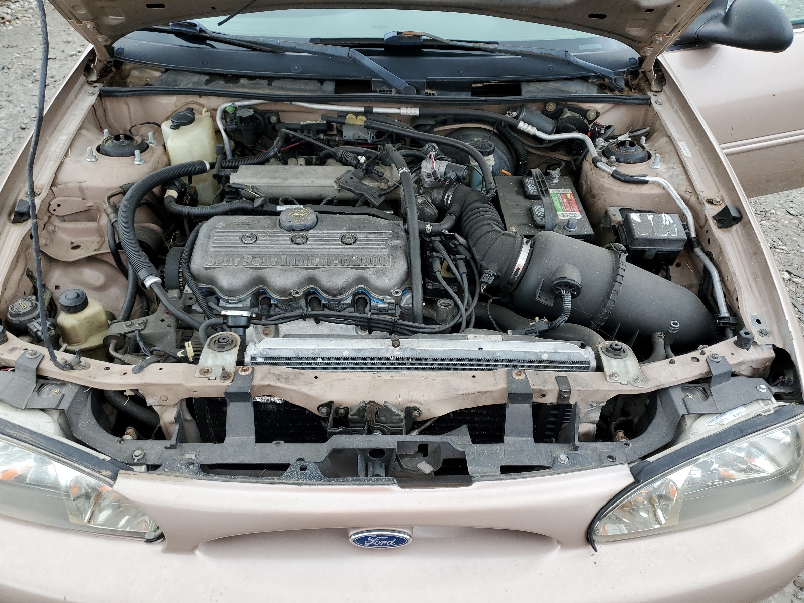 1FAFP13P3WW196760 1998 Ford Escort Se