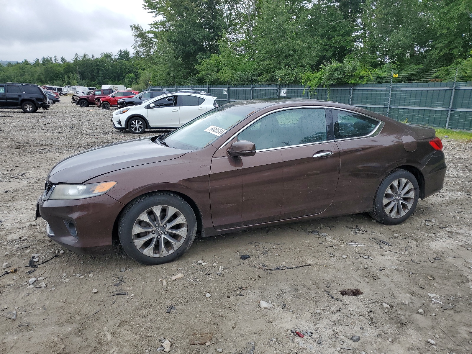 2013 Honda Accord Ex vin: 1HGCT1B74DA024176