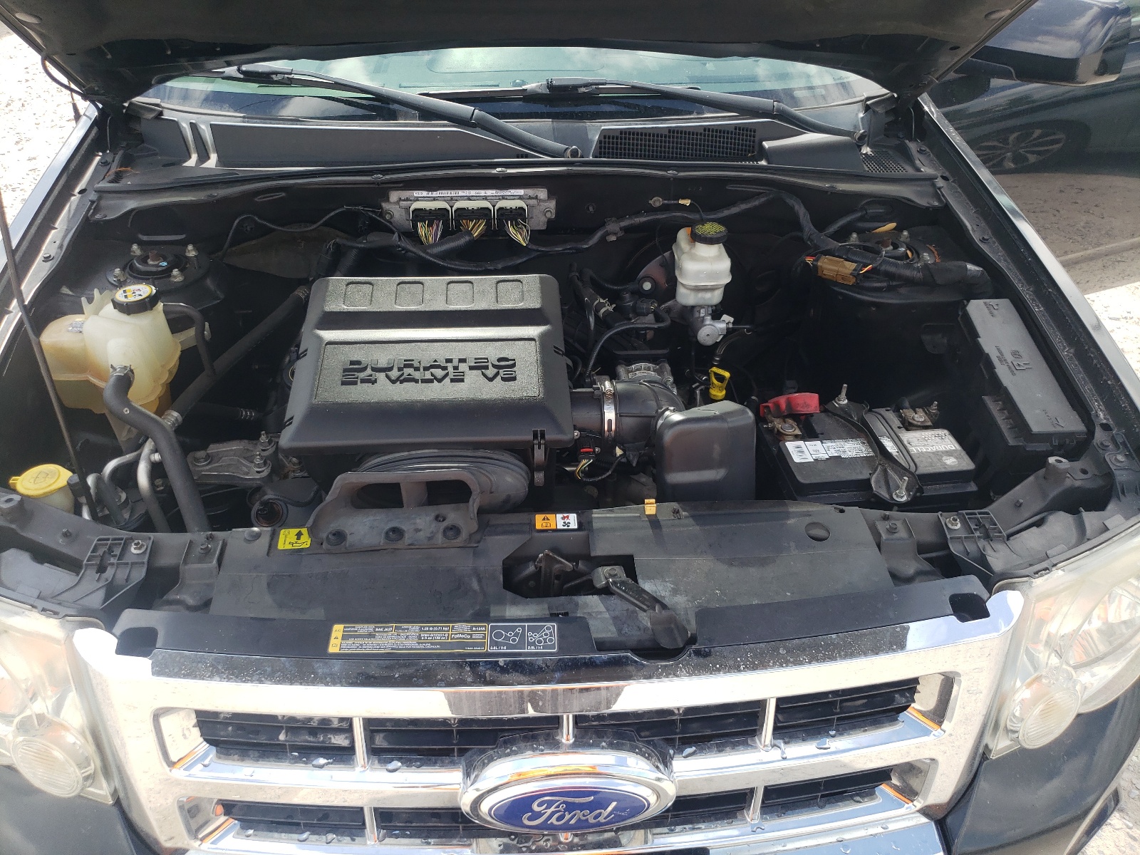 1FMCU0EG1BKC25151 2011 Ford Escape Limited