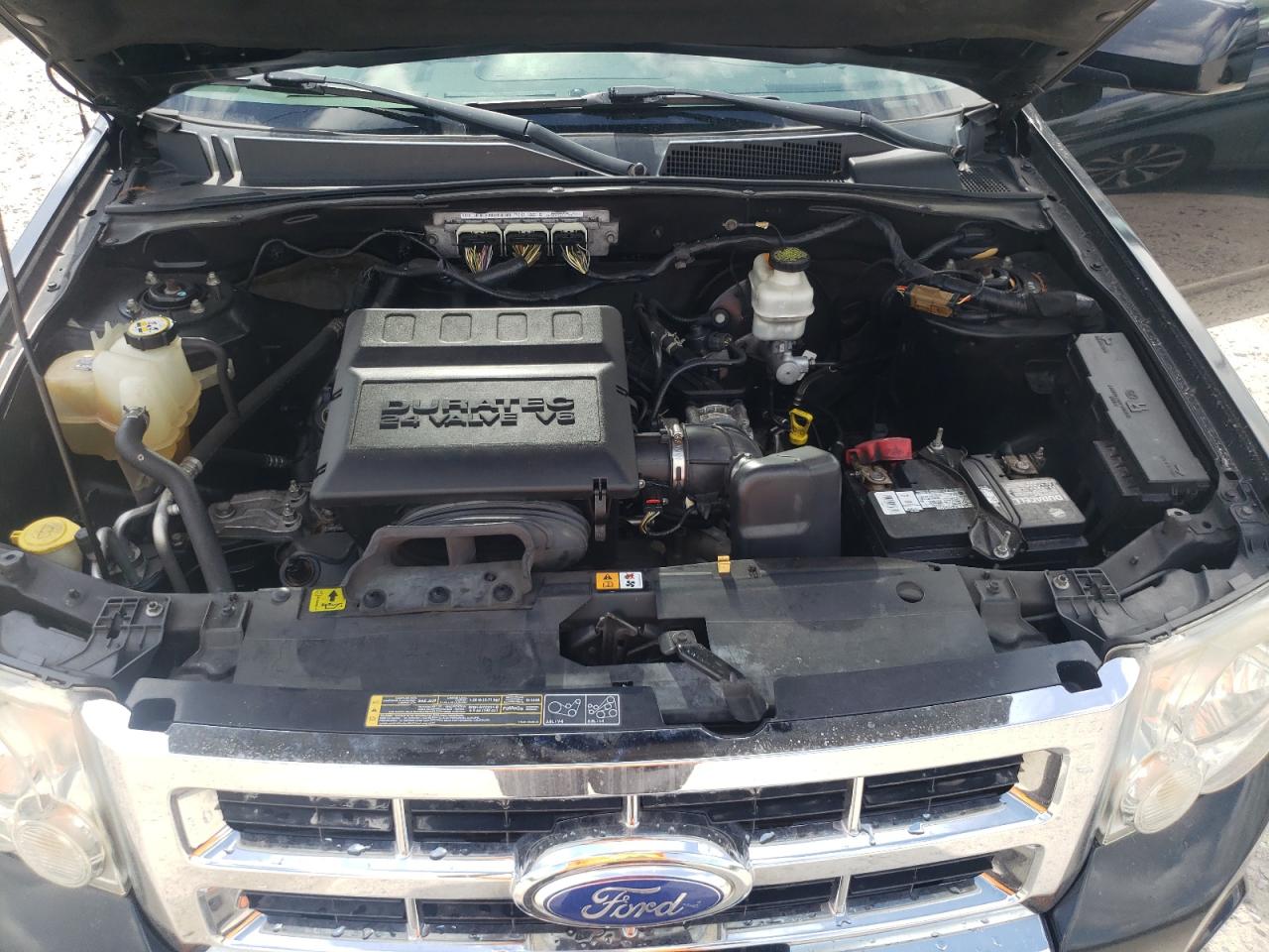 2011 Ford Escape Limited VIN: 1FMCU0EG1BKC25151 Lot: 64968674