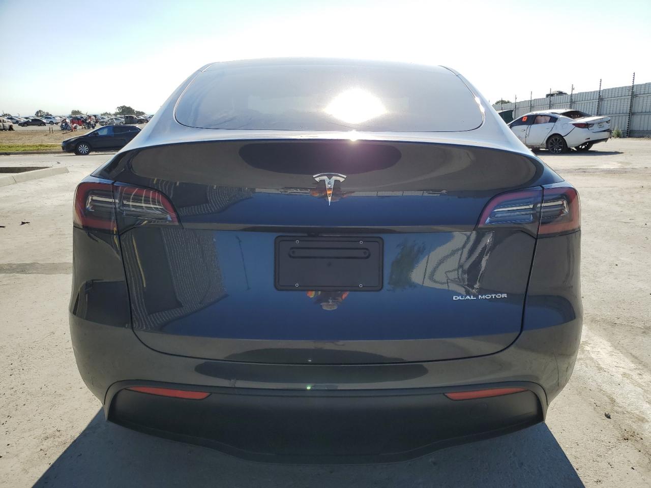 2024 Tesla Model Y VIN: 7SAYGDEE2RF025669 Lot: 65176044