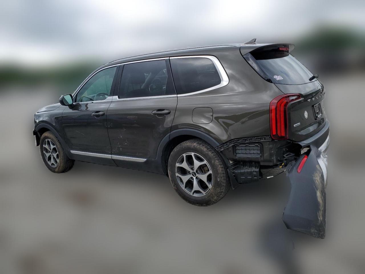 2020 Kia Telluride Ex VIN: 5XYP3DHC5LG026359 Lot: 62722394