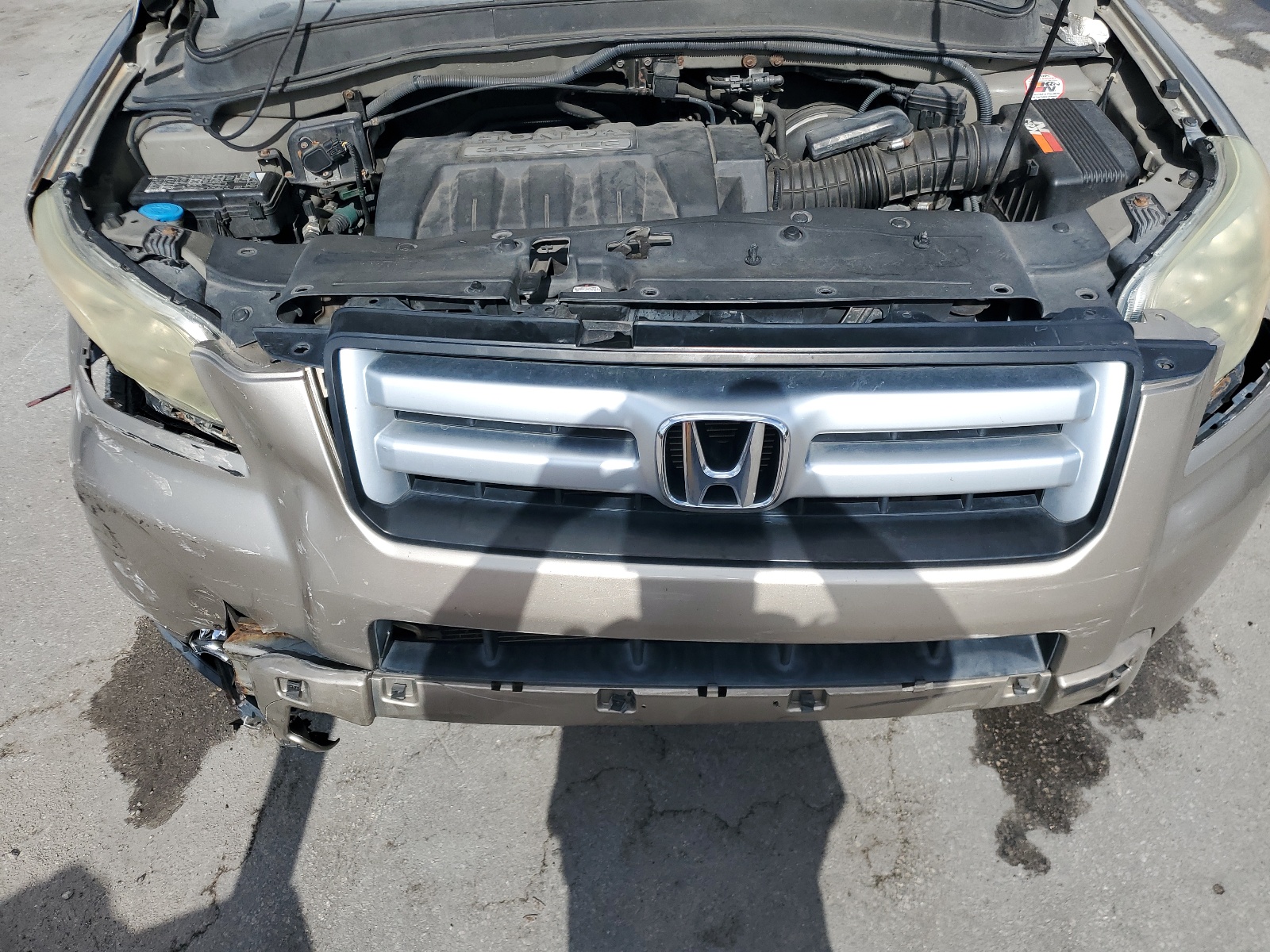 2HKYF18406H504459 2006 Honda Pilot Ex