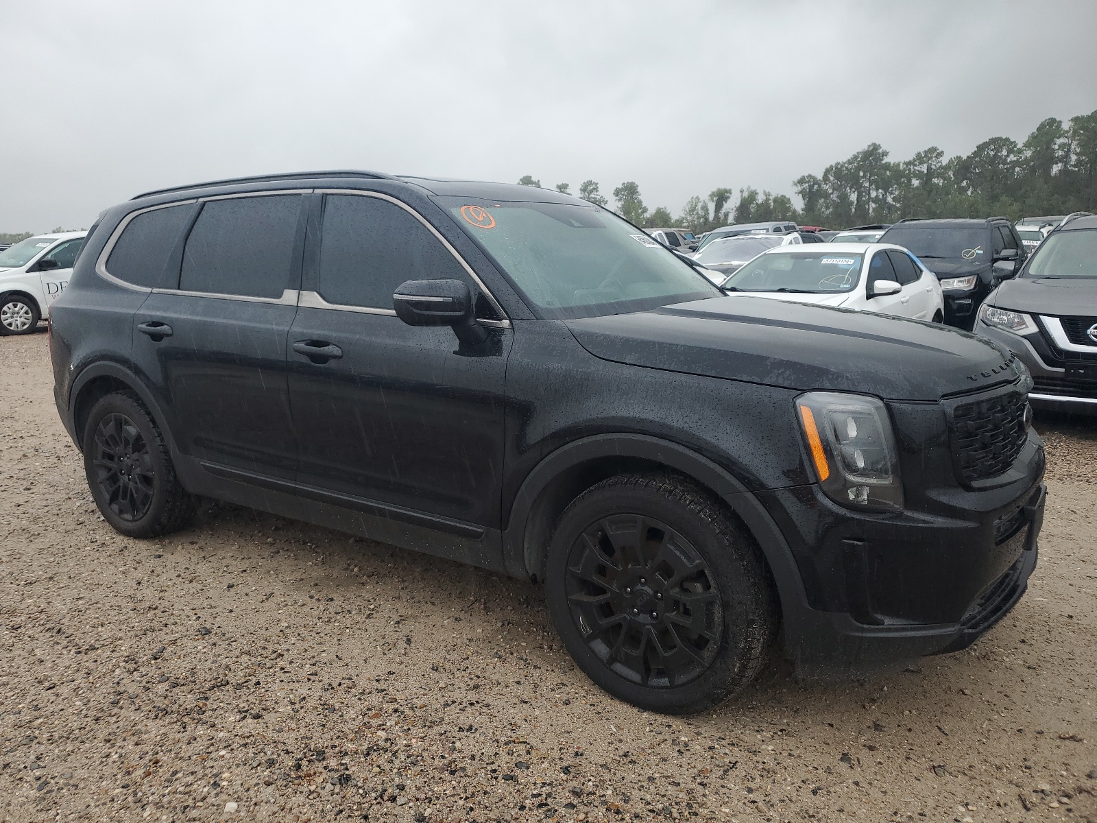 2021 Kia Telluride Ex vin: 5XYP3DHC1MG142224