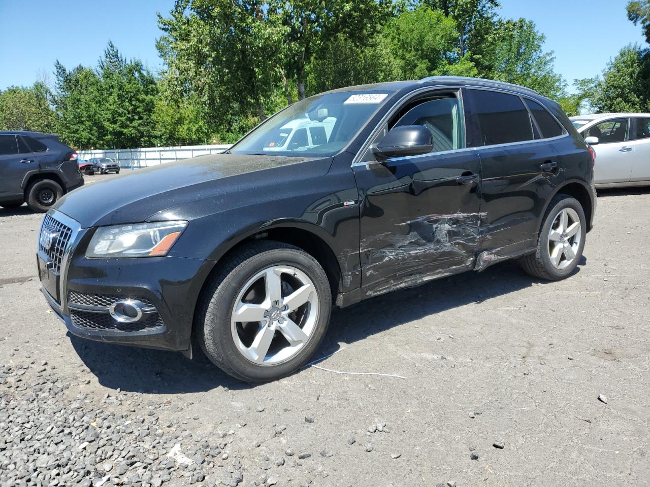 WA1DKAFP1BA016981 2011 Audi Q5 Premium Plus