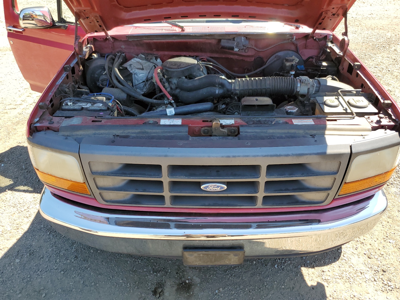 1FTEF14N8RLB52779 1994 Ford F150