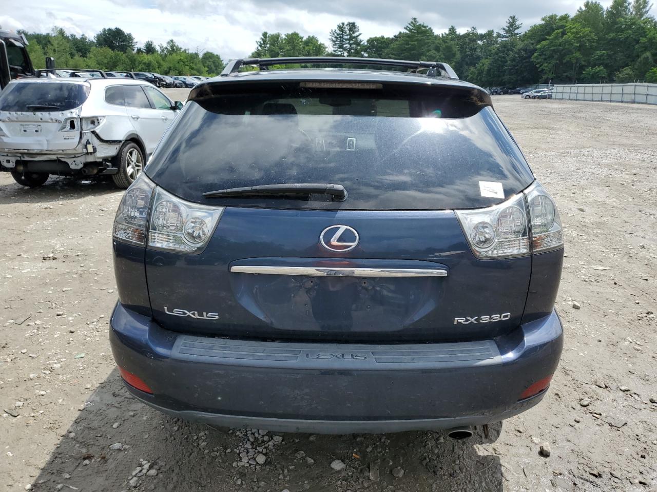 2004 Lexus Rx 330 VIN: 2T2HA31U04C039889 Lot: 65593124