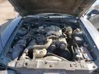 1998 Ford Mustang  for Sale in Anthony, TX - All Over