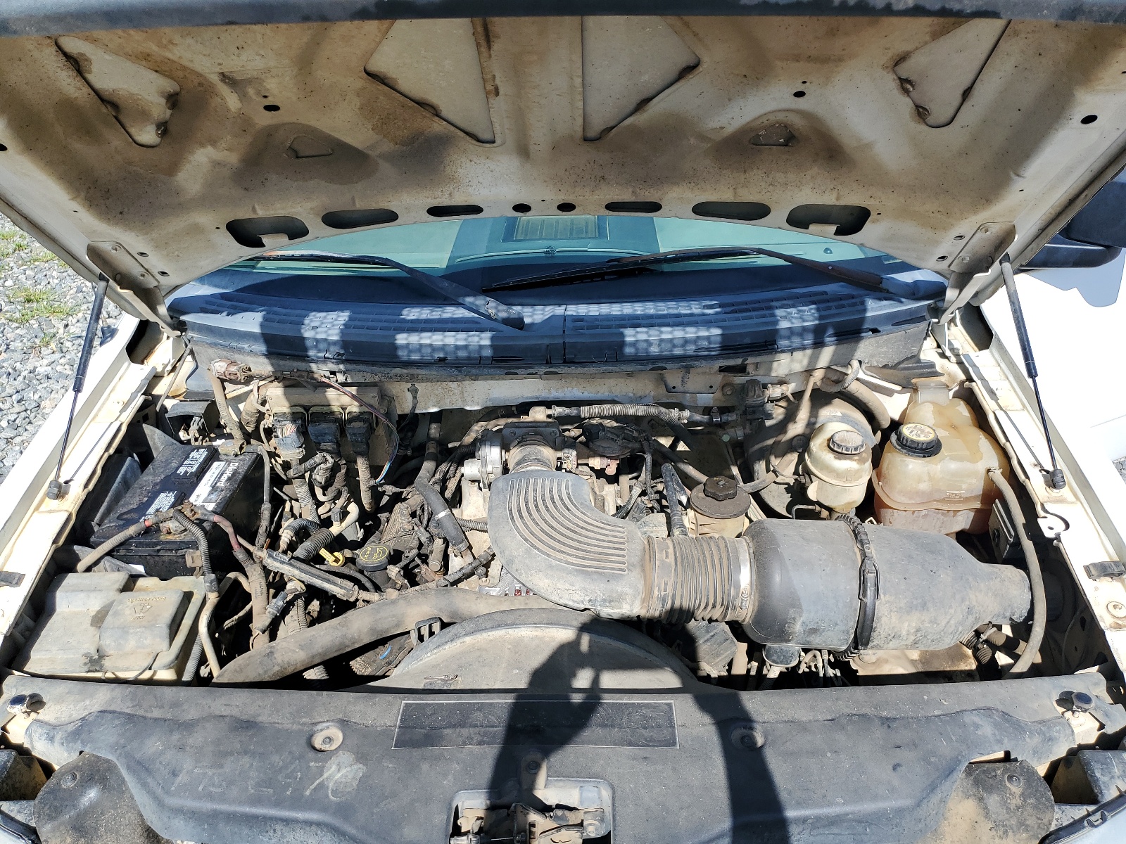 1FTRF14W95NB44070 2005 Ford F150