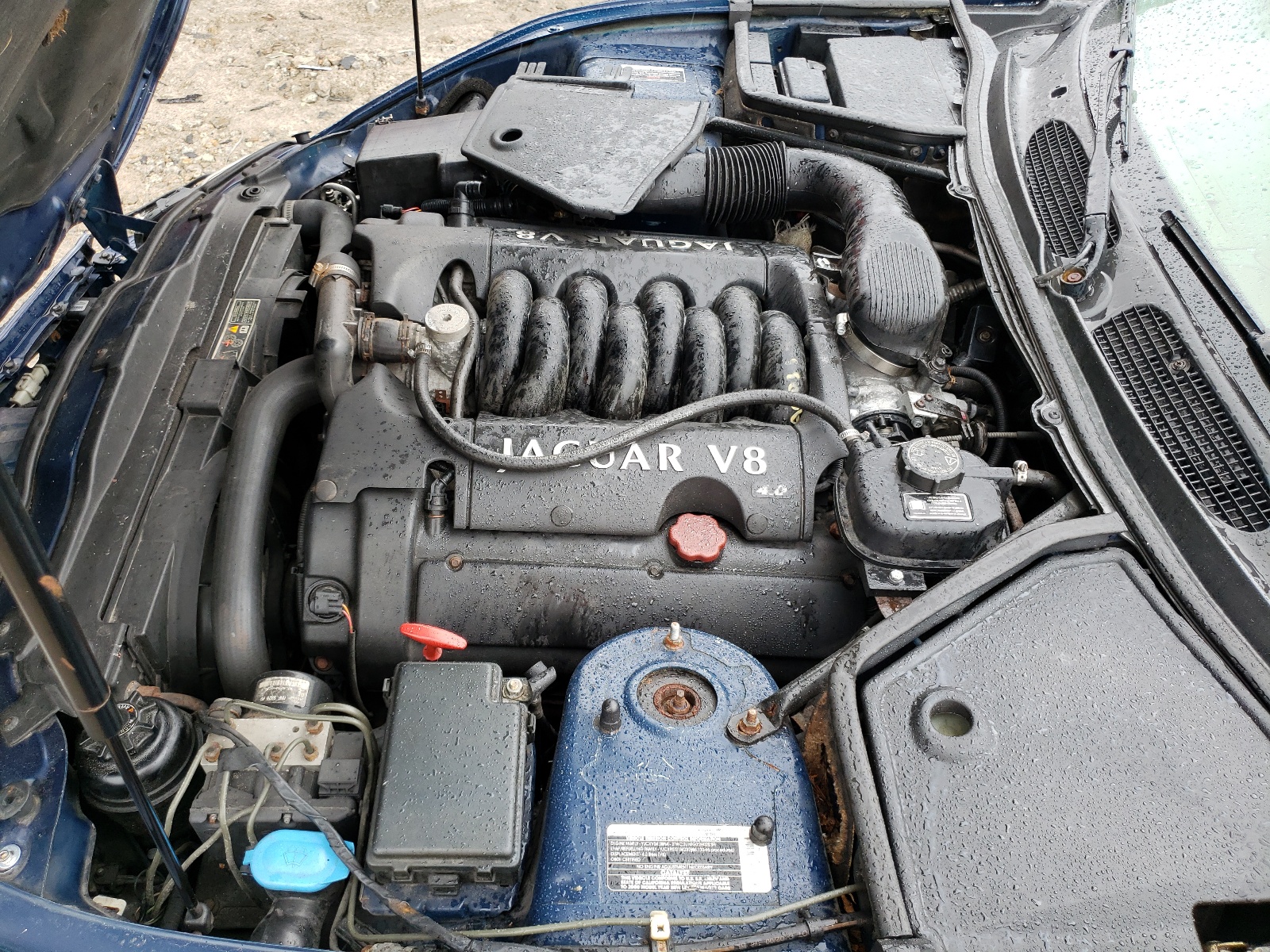 SAJJA42C6YNA09854 2000 Jaguar Xk8