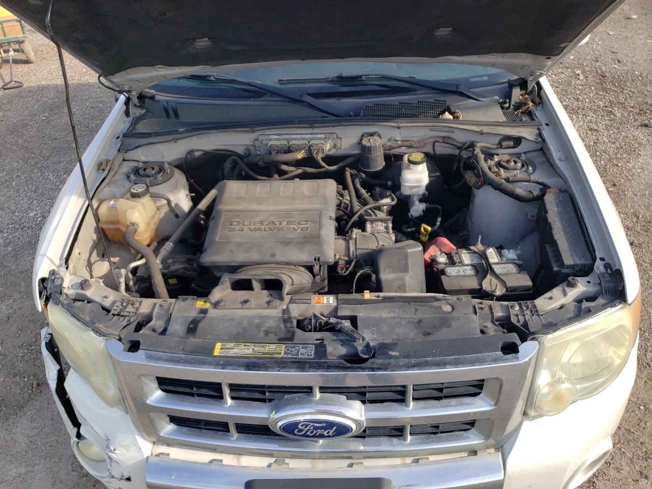 2010 Ford Escape Limited VIN: 1FMCU0EG0AKC65607 Lot: 61474874