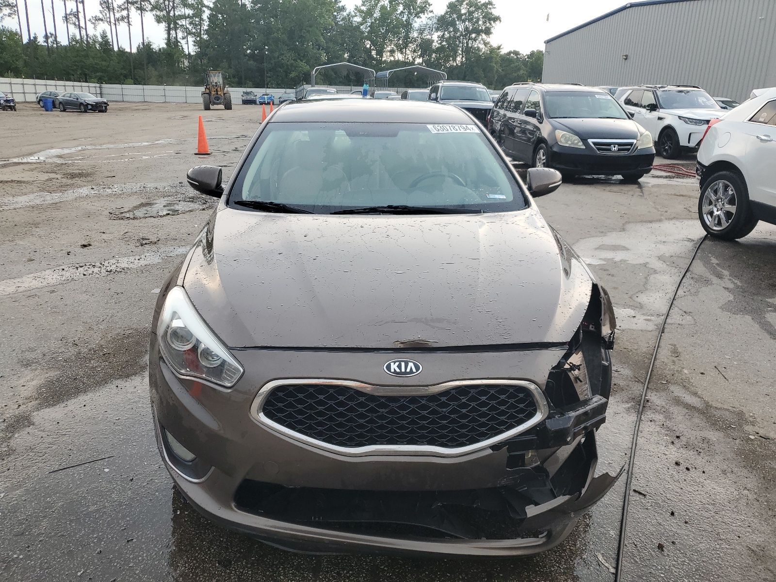 KNALN4D70E5144653 2014 Kia Cadenza Premium