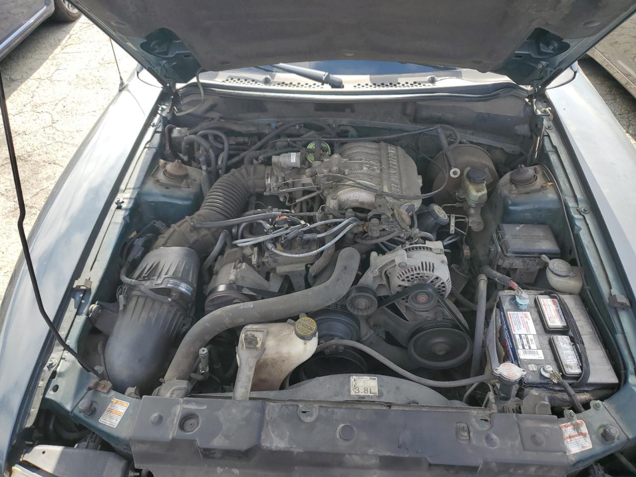 1998 Ford Mustang VIN: 1FAFP4446WF169090 Lot: 61792674