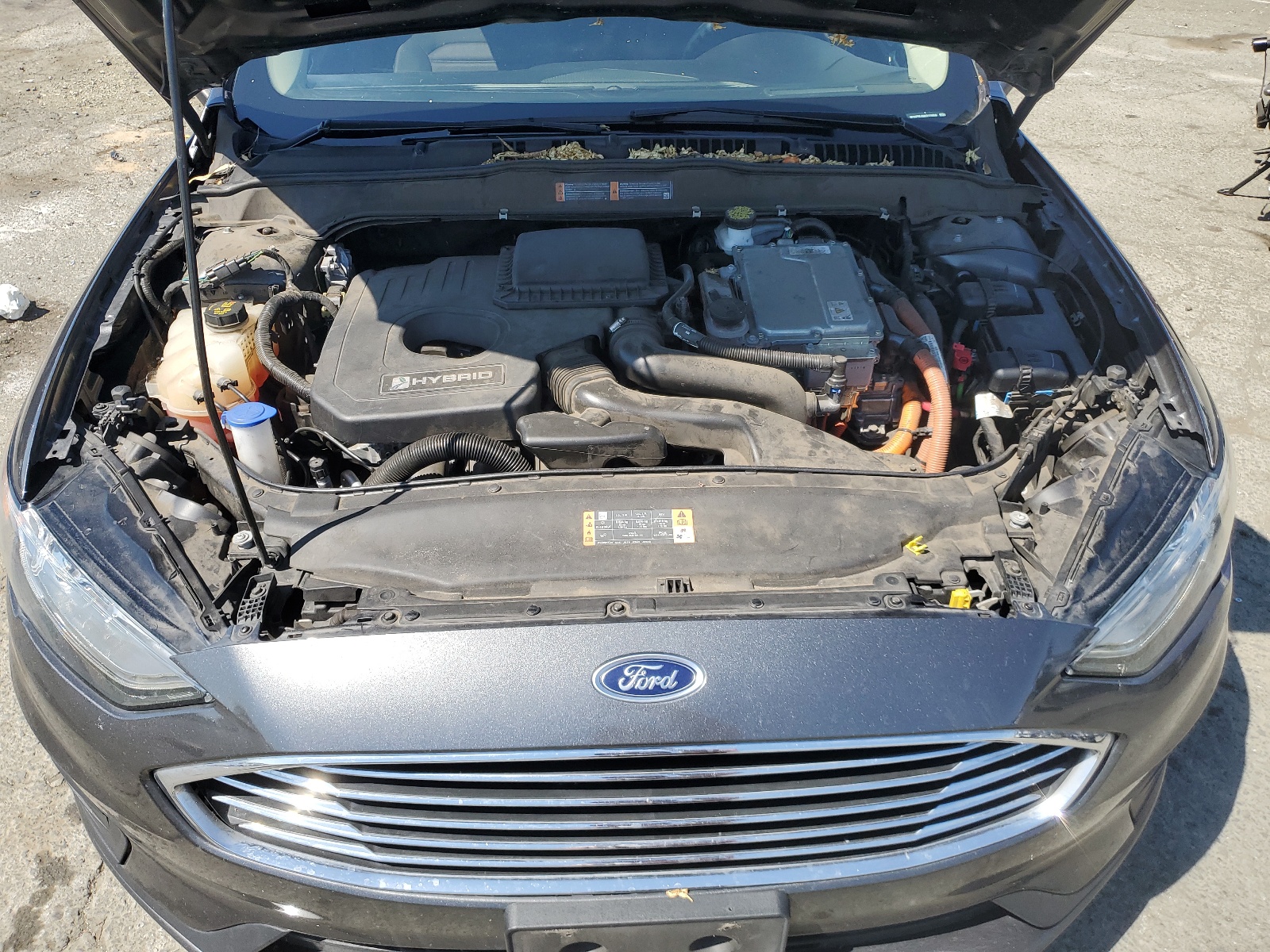 3FA6P0LU6KR178959 2019 Ford Fusion Se
