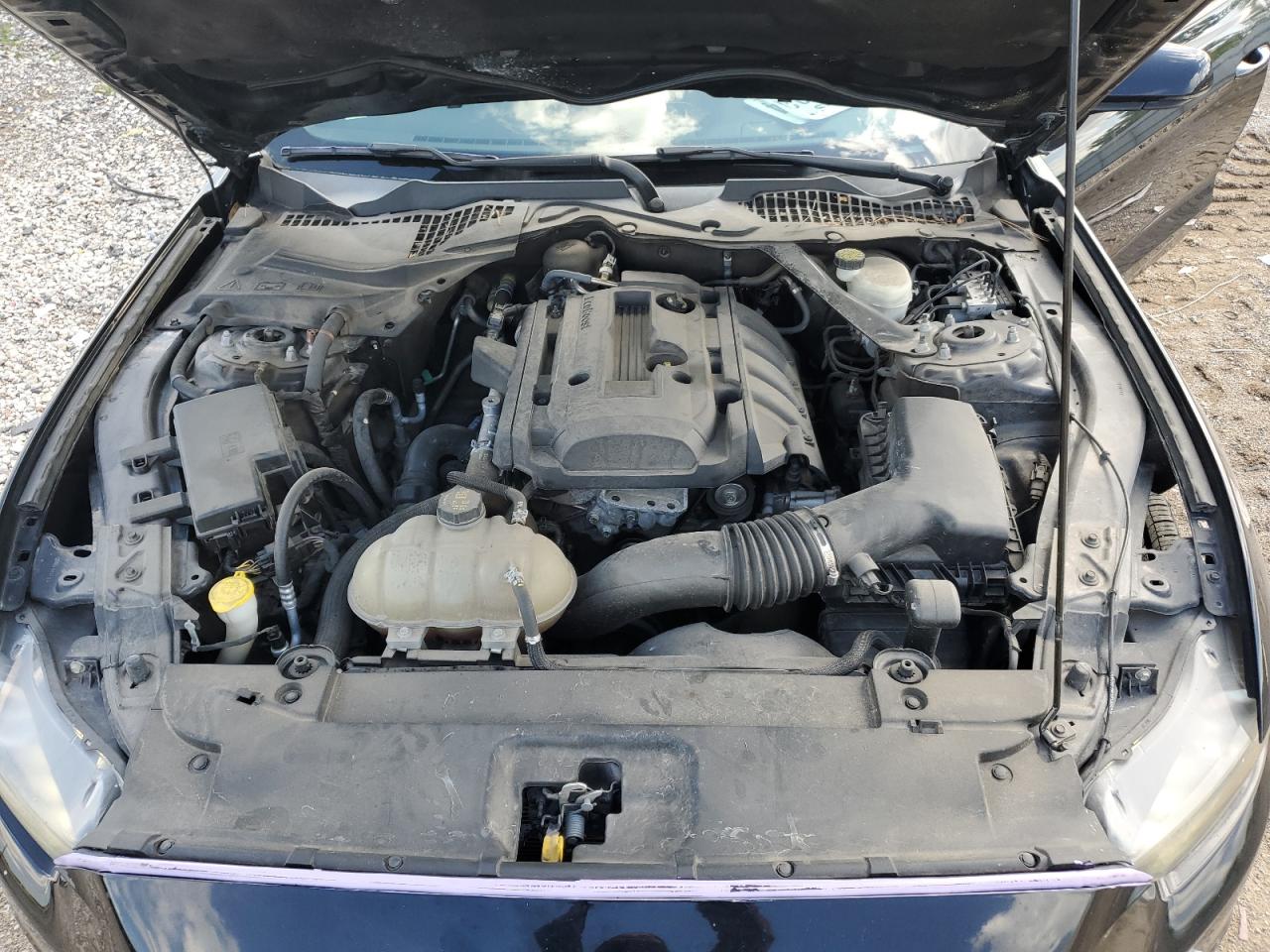 2017 Ford Mustang VIN: 1FA6P8TH6H5235268 Lot: 65058834