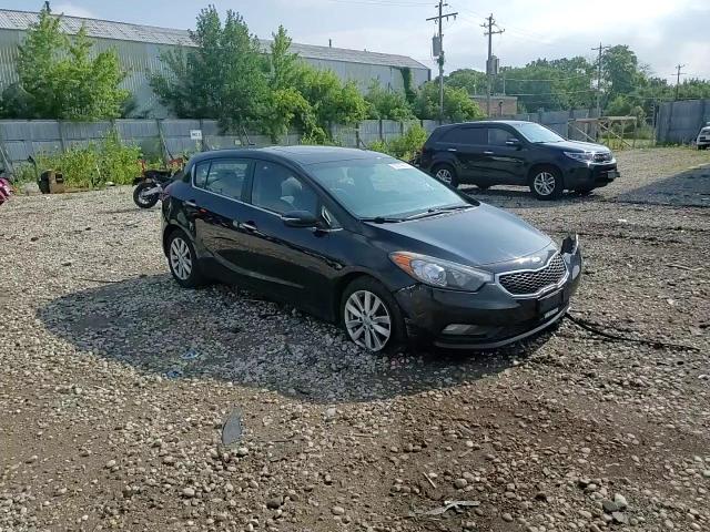 2014 Kia Forte Ex VIN: KNAFX5A82E5204944 Lot: 62919684
