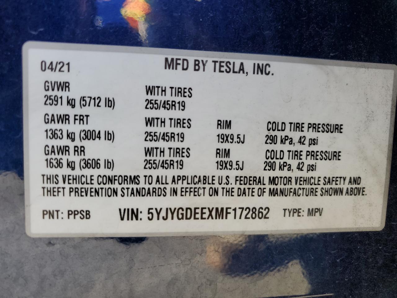 2021 Tesla Model Y VIN: 5YJYGDEEXMF172862 Lot: 62305114