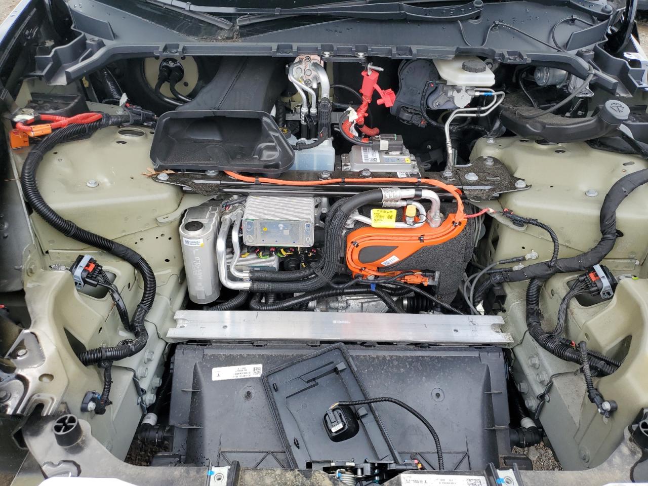 2023 Tesla Model Y VIN: 7SAYGDEE3PF874920 Lot: 61895544