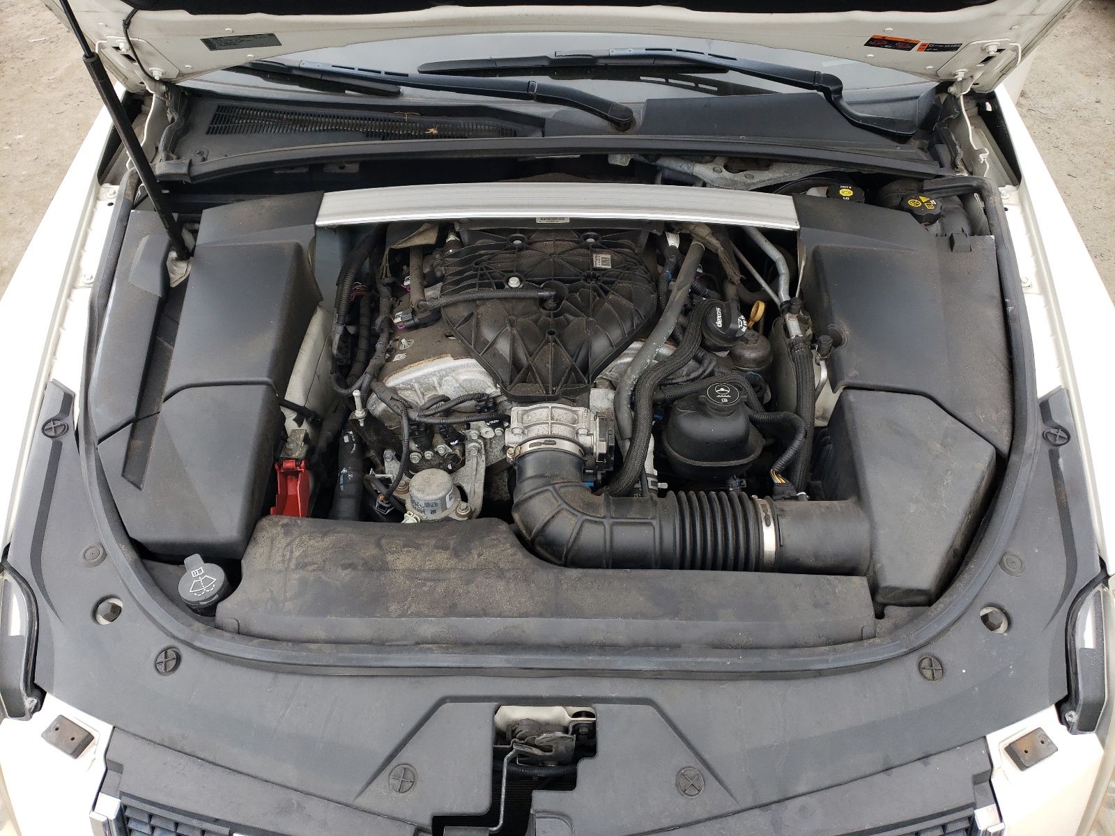 1G6DL1E39D0117151 2013 Cadillac Cts Performance Collection