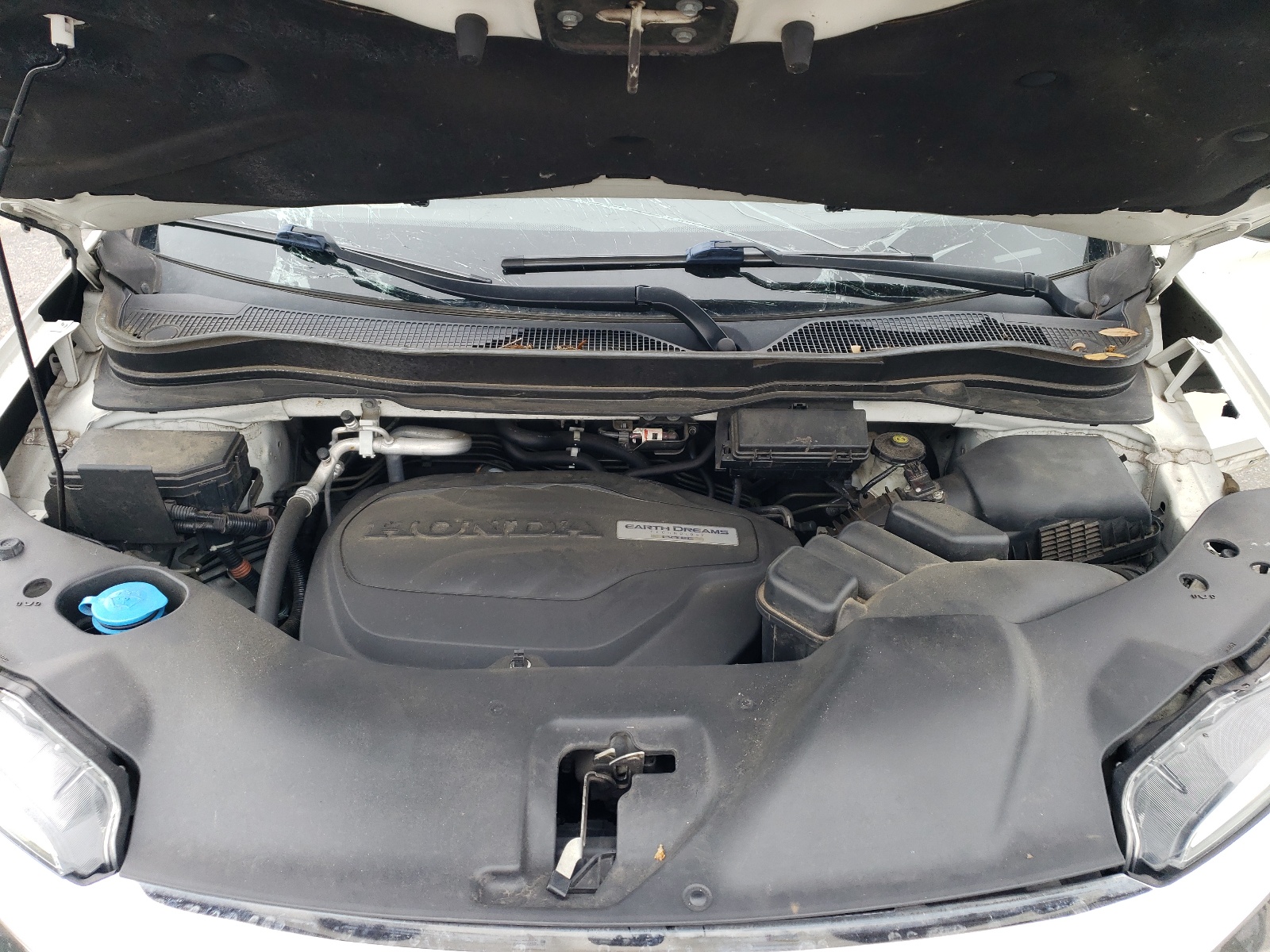 5FNYF6H54KB063417 2019 Honda Pilot Exl