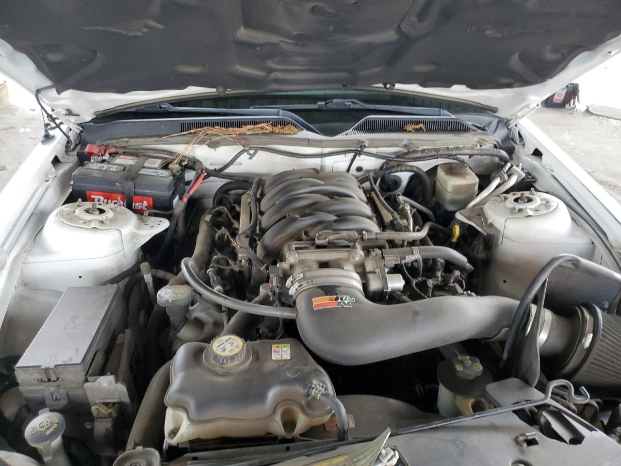 2006 Ford Mustang Gt VIN: 1ZVFT82H565168907 Lot: 63291774