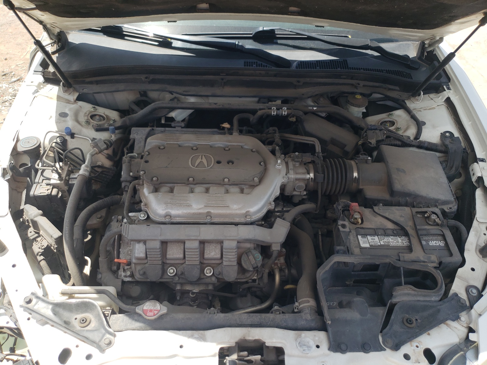 19UUA8F51BA000409 2011 Acura Tl