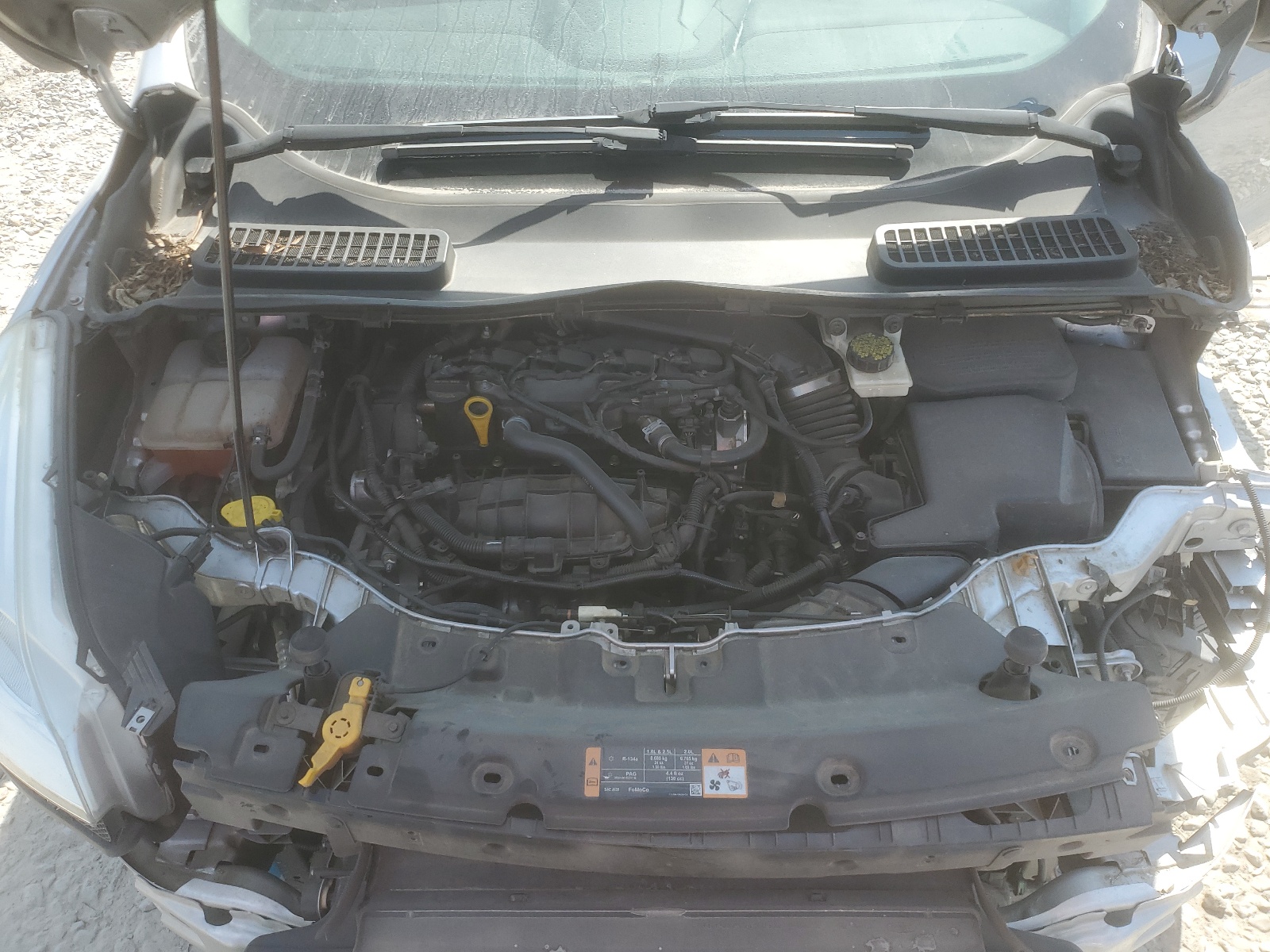 1FMCU0GX4EUB22554 2014 Ford Escape Se