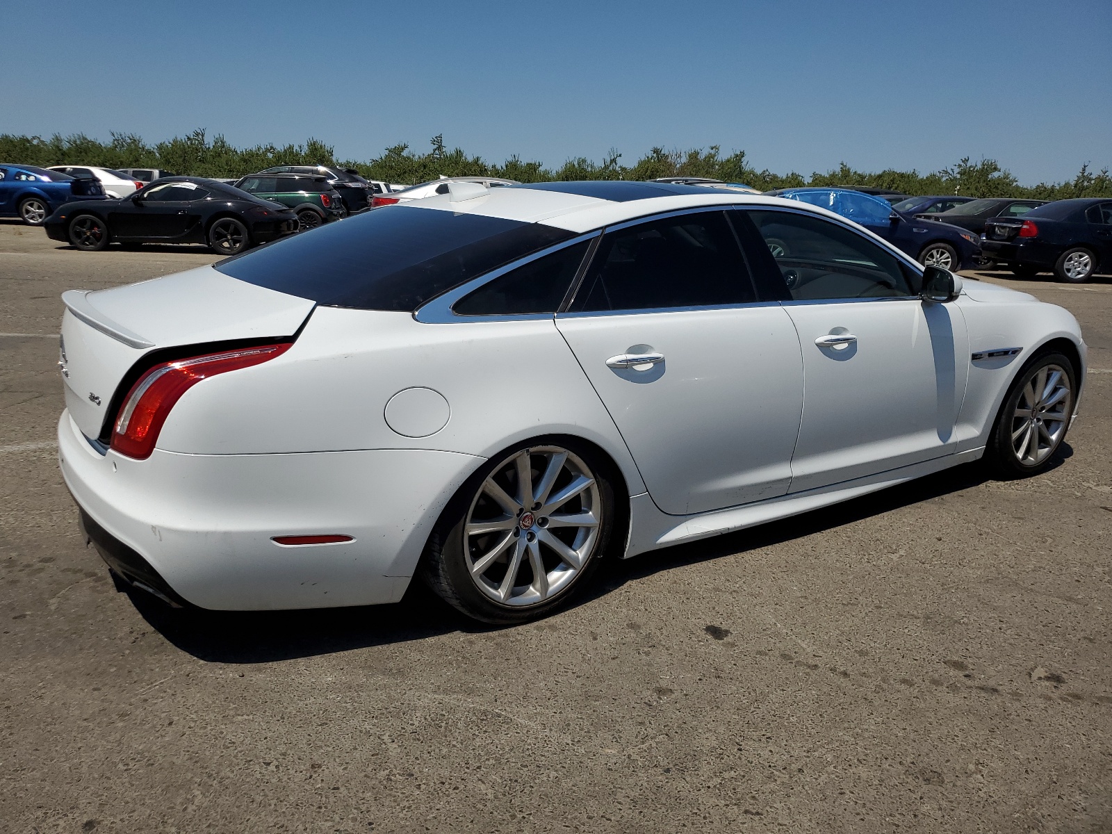 SAJWA1C77G8V92046 2016 Jaguar Xj