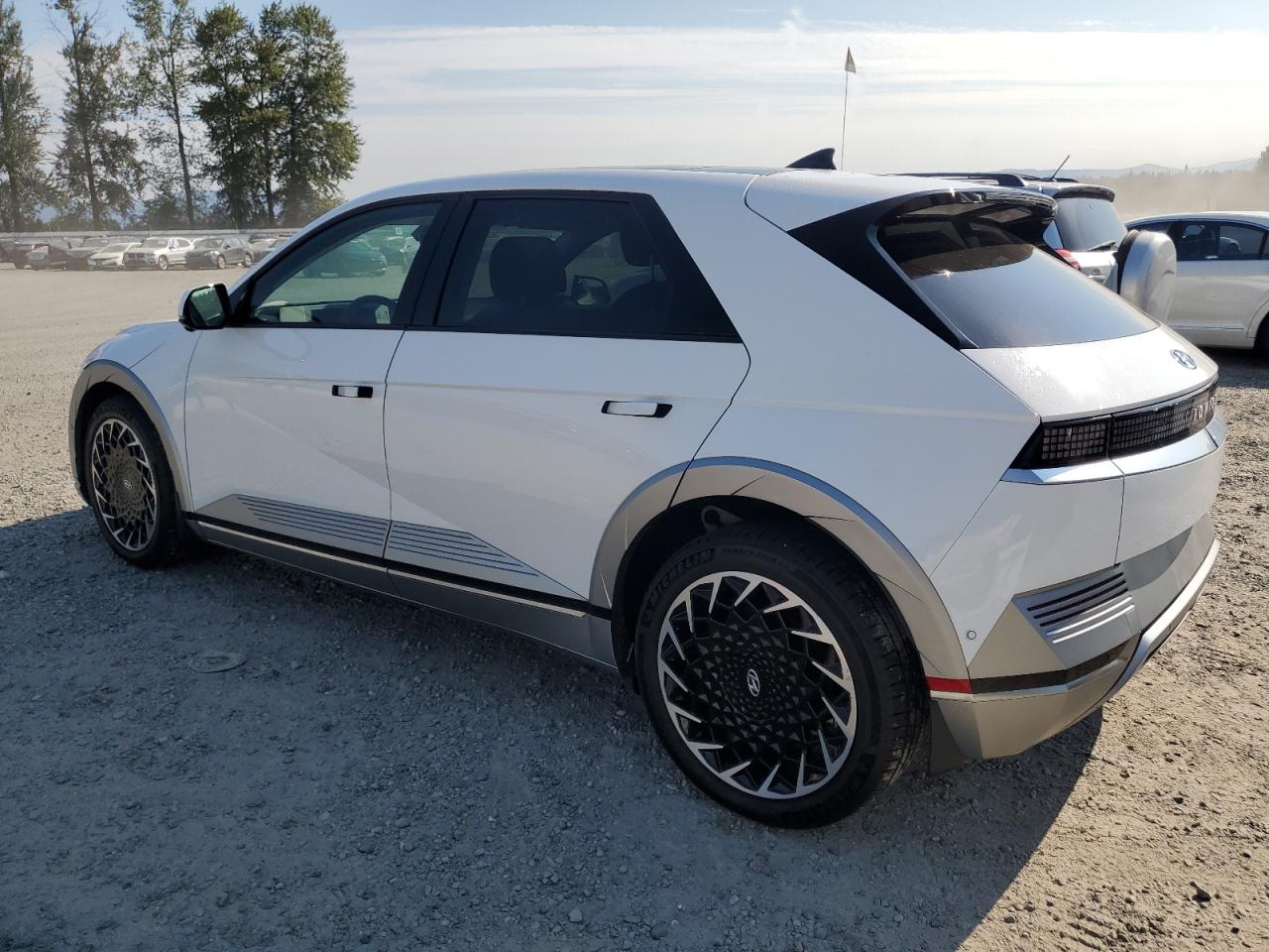 2023 Hyundai Ioniq 5 Limited VIN: KM8KRDAF4PU161863 Lot: 63089354