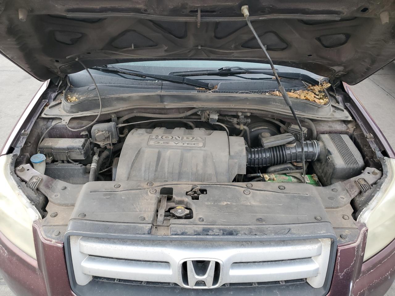 2007 Honda Pilot Exl VIN: 2HKYF18637H519203 Lot: 62642854