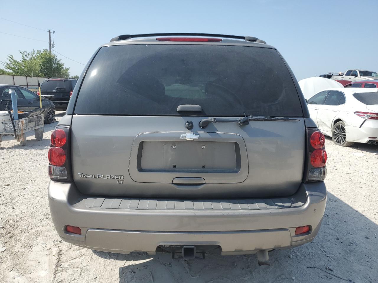 2006 Chevrolet Trailblazer Ls VIN: 1GNDS13S962169520 Lot: 63360374