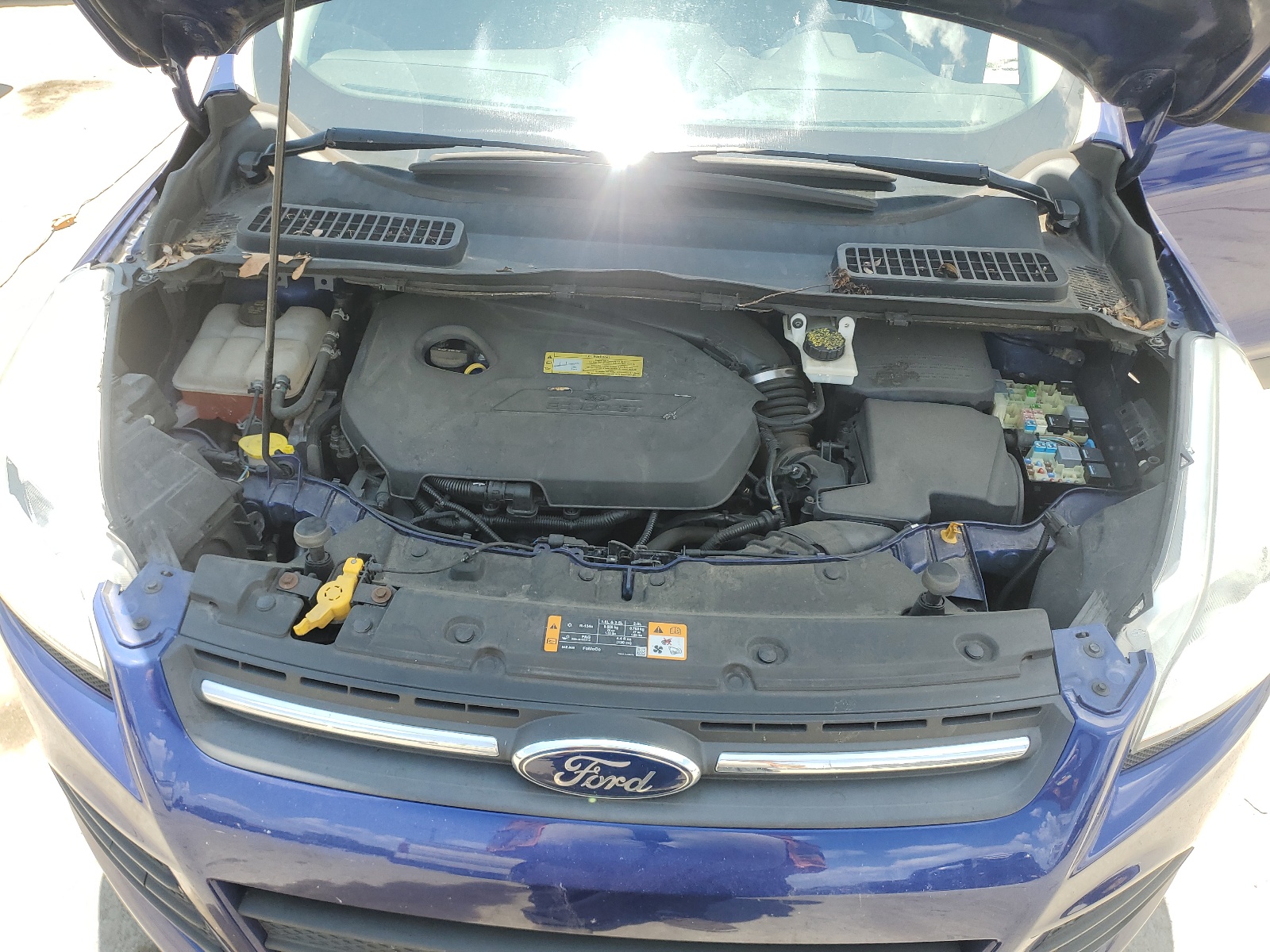 1FMCU0GX3EUA12594 2014 Ford Escape Se